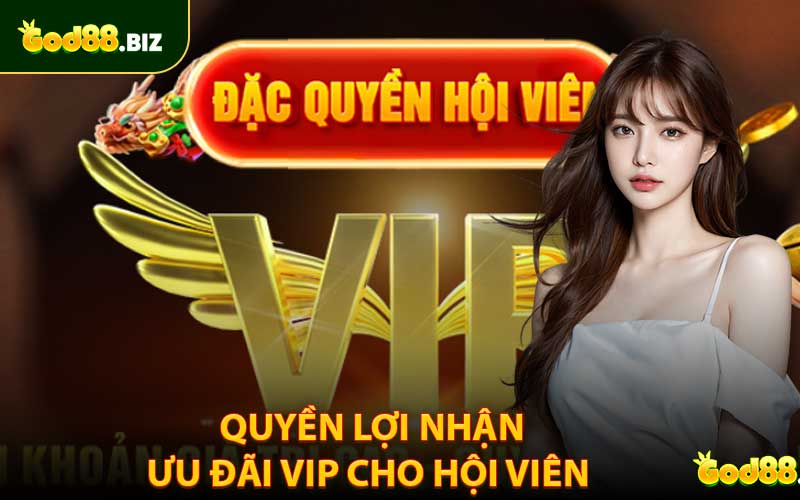 Quyền lợi khi nhận được tin VIP